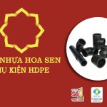 Đơn Giá Phụ Kiện Ống HDPE Hoa Sen (Cập Nhật Giá Tốt)