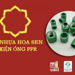 Đơn Giá Phụ Kiện Ống PPR Hoa Sen (Cập Nhật Giá Tốt)