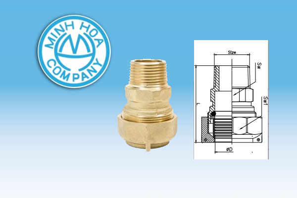 [Bảng Giá] Khâu Nối Liên Hợp D20 - Phụ Kiện Đồng Minh Hòa